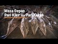 Masa Depan Pari Kikir dan Kekeh (The Future of Giant Guitarfish and Wedgefish)