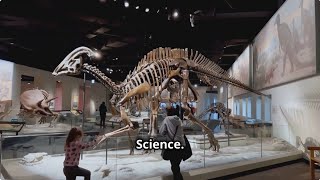 Discover the Magic of Houston: Hidden Gems & Local Culture