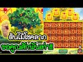 เกม Fortune Tree│ค่ายPG ➤ ต้นไม้จ๋า ขอคูณสักพันเท่า !!!