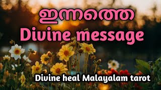 ഇന്നത്തെ ഡിവൈൻ മെസ്സേജ് 🌞✨Divineheal Malayalam Tarotreading ✨🌞