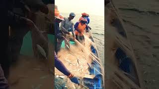 Namma kudla | Namma Mangalore | Fishing in Arabian sea  #fishing #fishcatching