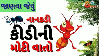 કીડી || નાનકડી કીડીની મોટી વાતો || જાણવા જેવું || ant facts