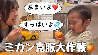 【2歳8ヶ月】ミカンの味見をしてみたら【酸っぱいは苦手】