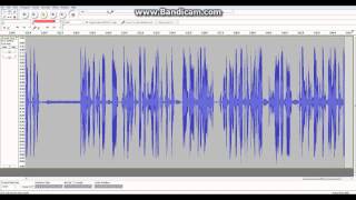 Homebrew DSP Demonstration - Voice Processing