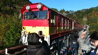 奥大井湖上駅　大井川鐵道　電車通過を撮影してみた　2019年11月