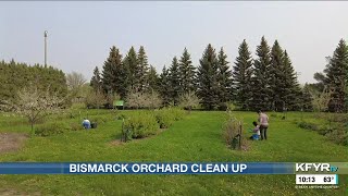 Spring Clean Up takes place at Bismarck Community Orchard