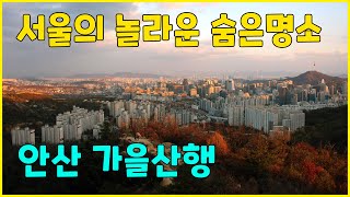 Mt. Ansan Autumn Mountain Trail Vlog, hiking in downtown Seoul.