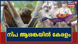 Nipah Virus | നിപ ആശങ്ക ; Kozhikode ജില്ലയിൽ അതീവ ജാഗ്രത | MInistry of Health | Veena George