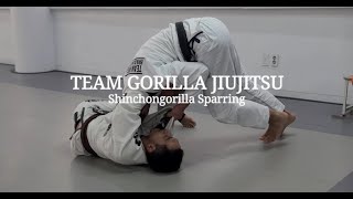 20230326 ShinChonGorilla Sparring (5Round)