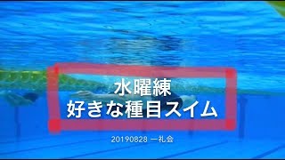 好きな種目スイム フォーム確認 水曜練 20190828 一礼会