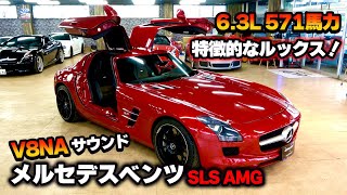 【ベンツ】あの芸能人も愛したメルセデスAMG SLSを徹底解説！