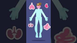 Where Do Body Fluids Go When You're Embalmed