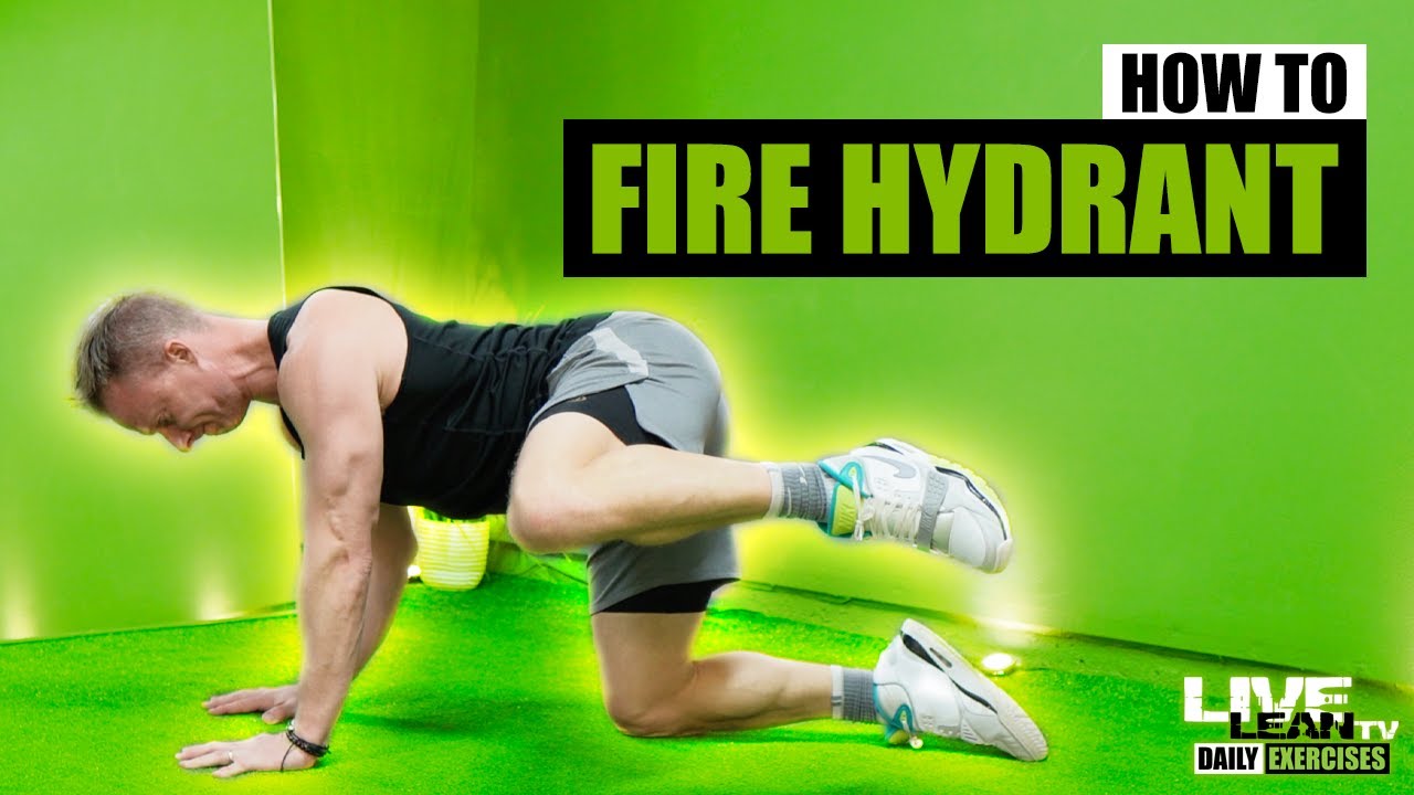 How To Do The Fire Hydrant Exercise Exercise Demonstration Video And