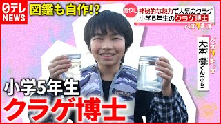 【溢れるクラゲ愛】400種類を記憶!?  小学5年のクラゲ博士『every.特集』