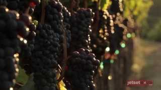 60 Seconds at the Francis Ford Coppola Winery