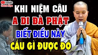 Phật Tử Tại Gia Khi Niệm A DI ĐÀ PHẬT Biết Điều Này Phật Phù Hộ Cầu Gì Được Đó - SC Thích Nữ Như Lan