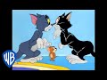 Tom & Jerry em Português | Brasil | Diversão em Qualquer Lugar | WB Kids
