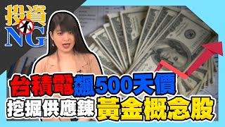 【投資不NG】ep78 台積電飆500天價 挖掘供應鍊黃金概念股｜林以炘｜翁士峻｜GMoney (記得開啟字幕喔)