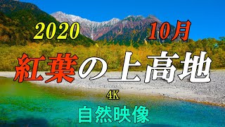 上高地 秋 2020 紅葉と穂高連峰の雪 北アルプス 河童橋周辺  4K  自然映像/ Northern Japanese Alps Kamikochi landscape in autumn.