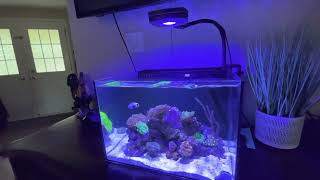 New studio 12 Aio tank from FRAGBOX/ REEF CASA !!!!!!