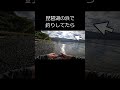 【lake biwa】奥琵琶湖で釣りしてたら猛烈な勢いでアイツに襲われた【バス釣り】・・・ shorts