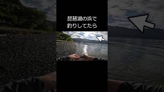 【lake biwa】奥琵琶湖で釣りしてたら猛烈な勢いでアイツに襲われた【バス釣り】・・・#shorts