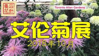 秋季菊花展 - 多伦多艾伦花园 Toronto Allan Gardens