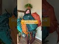 Gregory Packs hiking day pack comparison 🎒 #shorts #hiking #hikinggear