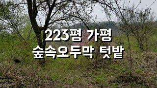 자연인땅500만원 토지223 가평! 숲속 오두막에서 캠핑을