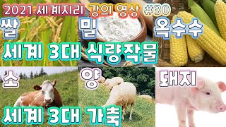 세계 3대 식량 작물과 세계 3대 가축의 특징을 알아보고 통계도 분석해보자. + 관련 수능 기출문제 풀이! [세계지리 #30]