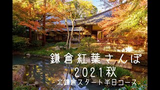 ⊿VLOG⊿鎌倉てくてく紅葉散歩2021秋 北鎌倉→鎌倉へ半日コース-Best Places to see Kamakura, Japan-