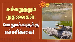 Crocodiles in Dharapuram River : முதலைகளை பிடிக்க தனிப்படை..பொதுமக்களுக்கு எச்சரிக்கை! | Sun News