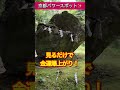 ⚠️神回※ もし逃したら2度とないです※出雲大神宮