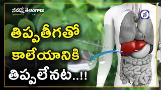 తిప్ప‌తీగ తింటుతున్నారా..? త‌స్మాత్ జాగ్ర‌త్త‌.. | Tippa Teega | Health Tips in Telugu