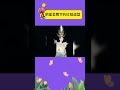 红毯就是要看女明星啊！快来看看谁最美 娱乐矿工 shorts 红毯 迪丽热巴