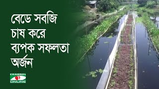 গোপালগঞ্জে খাল-বিলের পানিতে ভাষমান বেডে সবজি চাষ