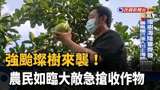 強颱璨樹來襲! 農民如臨大敵急搶收作物－民視台語新聞