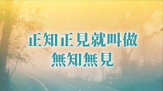 正知正見就叫做無知無見｜你是被智慧劍砍殺在修行，但是到最後，那個智慧劍會變成是你所擁有｜隆禪法師