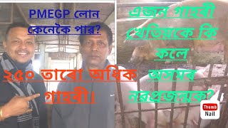 PMEGP লোন কেনেকৈ লাভ কৰিৱ? এজন গাহৰী খেতিয়কে কি কলে অসমৰ নৱপ্ৰজন্মক?