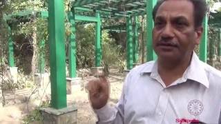 Natural Environment: Walkthrough of Herbal Garden, Yamuna Biodiversity Park