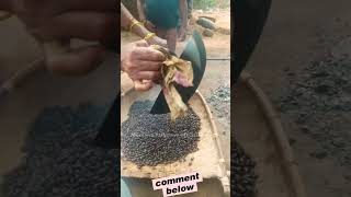 ఆముదం నూనె తయారీ || Preparation of Castor Oil || ఆముదం || Amudam || @MaaOoruPalletooruOfficial