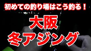 【1月冬のアジング】大阪・泉大津なぎさ公園で釣れる!