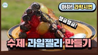 탱글탱글! 수제 과일젤리 만들기 | 아하! 과학시연 #부산과학체험관 #과일젤리 #수제과일젤리 #한천가루