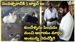 | RABBIT FARMING | rabbit farming in telugu | rabbit farming business plan |