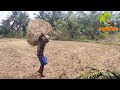 இன்று நமது village workers team நெல் அறுவடைக்கு பின் வைக்கோல் ஏற்றும் பணியில்....