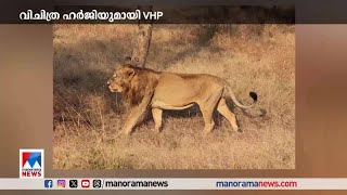 ‘സീതയും അക്ബറും’ ഒരു കൂട്ടില്‍; സിംഹങ്ങളെ മാറ്റാന്‍ ആവശ്യപ്പെട്ട് വിഎച്ച്പി | Lion | VHP