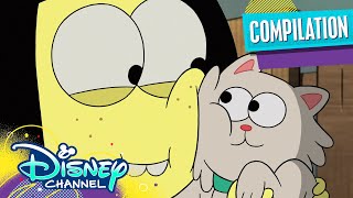 Every Animal Tilly Fell In Love With 😍 | Compilation | Big City Greens | Disney Channel