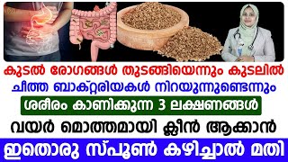 കുടൽ രോഗങ്ങൾ തുടങ്ങിയെന്ന് ശരീരം കാണിക്കുന്ന 3 ലക്ഷണങ്ങൾ |Digestive Problems |Dr Samiya