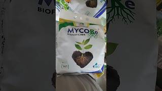 DHANUKA MYCORE BIO FERTILLISER🌱💪🏻 धानुका माइकोर माइकोराइजा, धानुका माइकोराइजा जड़ विकास हेतु #shorts