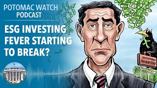 Is the ESG Investing Fever Starting to Break? | Potomac Watch Podcast: WSJ Opinion